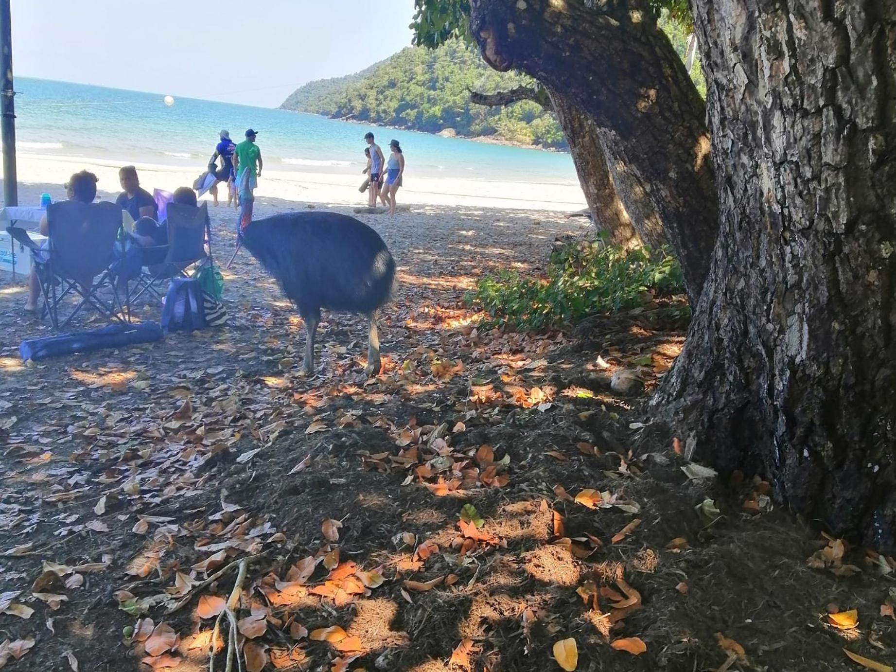 Possum Stay Innisfail Kültér fotó